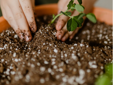 Agricultural Fertilizers